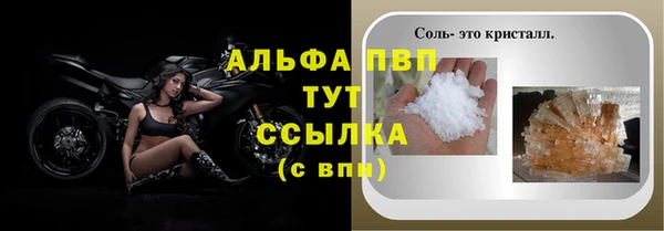 дживик Магас