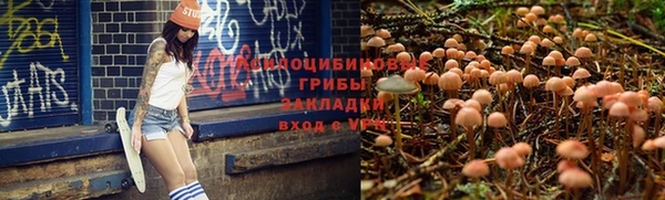 дживик Магас