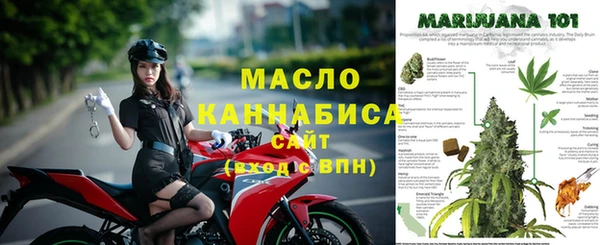эйфоретик Майский