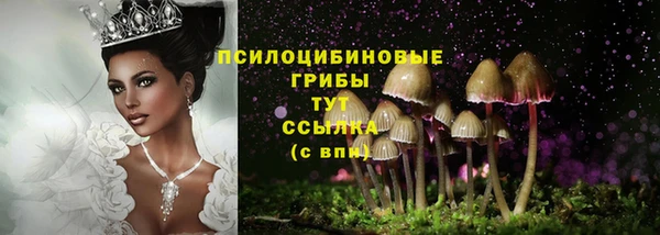 эйфоретик Майский