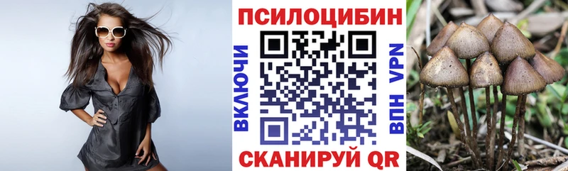 Псилоцибиновые грибы Magic Shrooms  что такое   Шимановск 